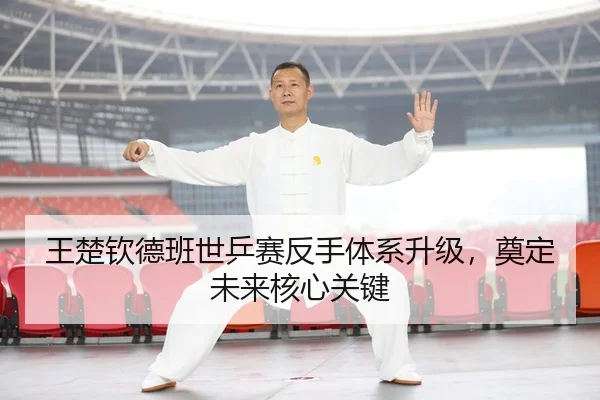 wang-chu-qin-de-ban-shi-ping-sai-fan-shou-ti-xi-sheng-ji-dian-ding-wei-lai-he-xin-guan-jian-2-933.jpg