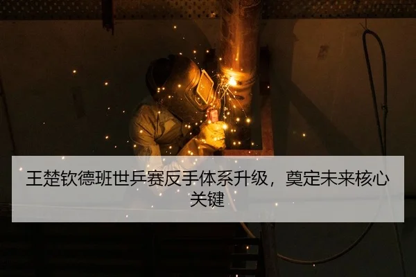 wang-chu-qin-de-ban-shi-ping-sai-fan-shou-ti-xi-sheng-ji-dian-ding-wei-lai-he-xin-guan-jian-3-671.jpg