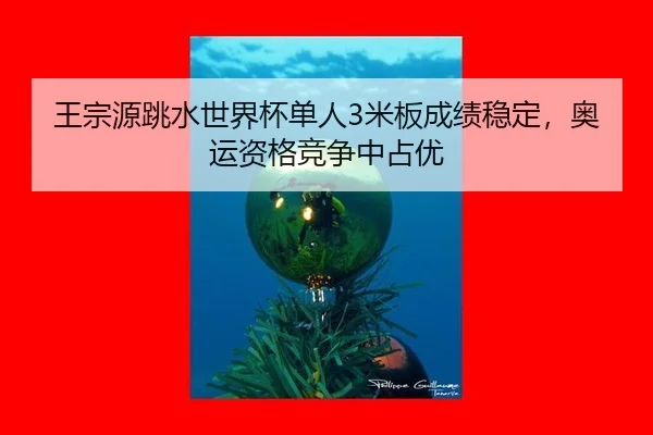 wang-zong-yuan-tiao-shui-shi-jie-bei-dan-ren-mi-ban-cheng-ji-wen-ding-ao-yun-zi-ge-jing-zheng-zhong-zhan-you-2-139.jpg