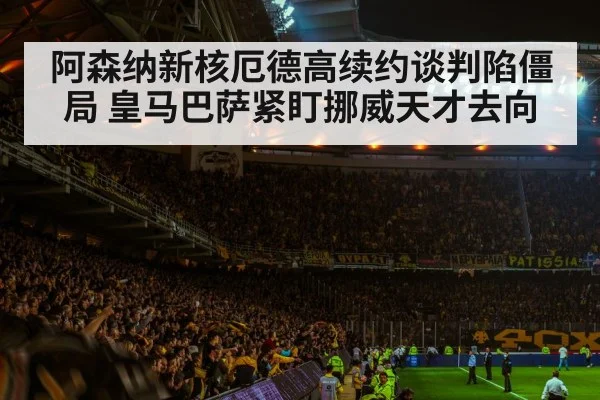soccer stadium atmosphere