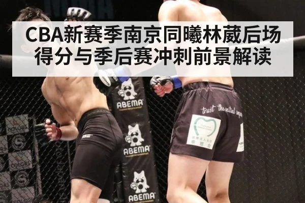 CBA新赛季南京同曦林葳后场得分与季后赛冲刺前景解读